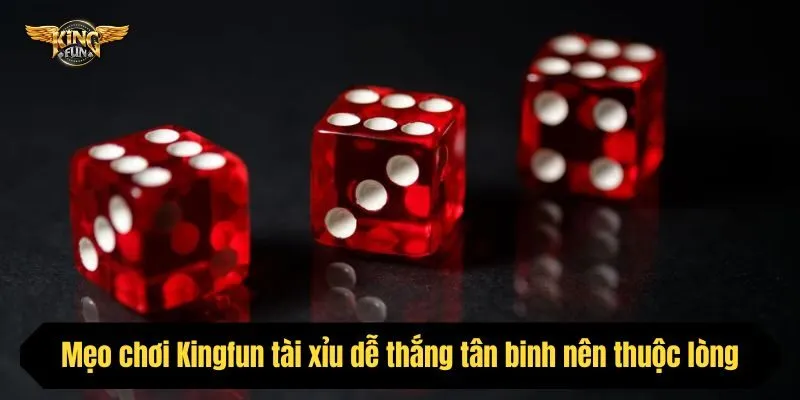 Mẹo chơi Kingfun tài xỉu dễ thắng tân binh nên thuộc lòng